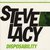 Steve Lacy - Disposability.jpg